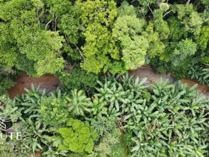 Sitio à venda com 9 dormitórios em Camboriú